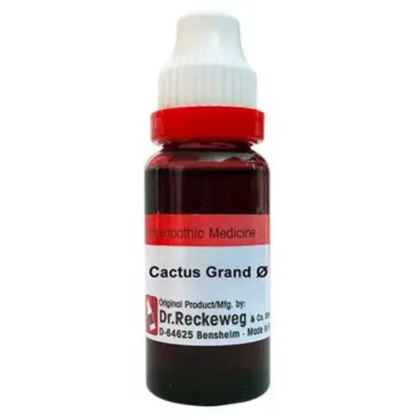 Dr. Reckeweg Cactus Grand Mother Tincture Q